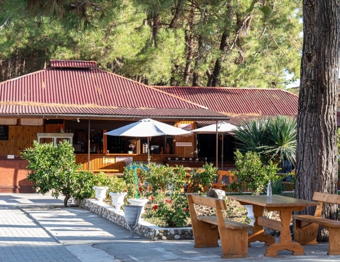 Рестораны и бары - Дом отдыха «Питиус» Пицунда